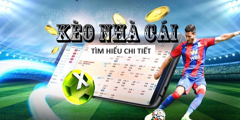 Nhà cái uy tín 33win - Nhà cái tặng cược miễn phí chơi nổ hũ